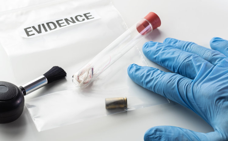 Expert evidence